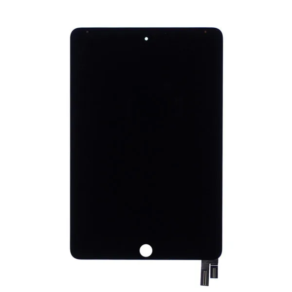 iPad Mini 4