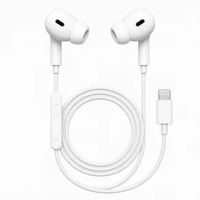 Earphones