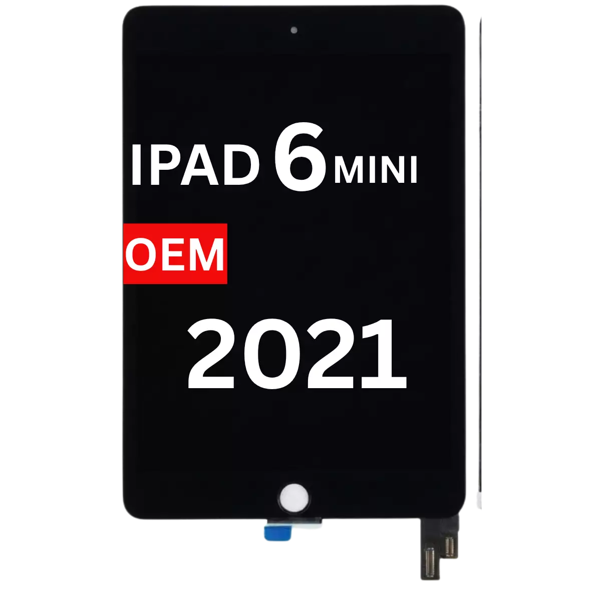 iPad Mini 6 (2021)