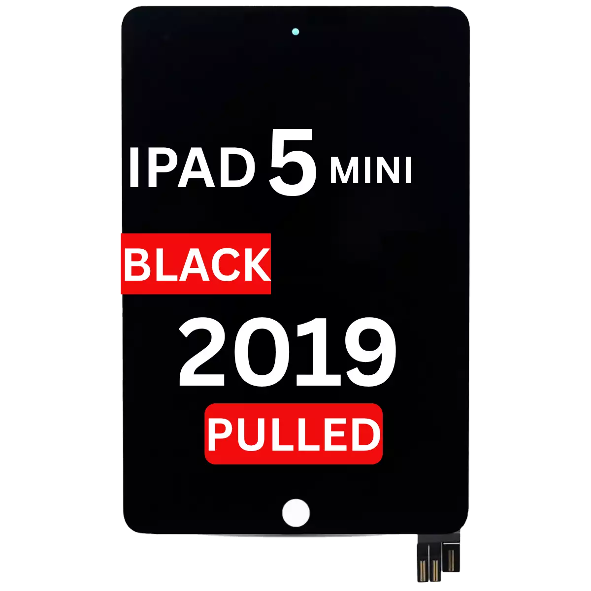iPad Mini 5 (2019)